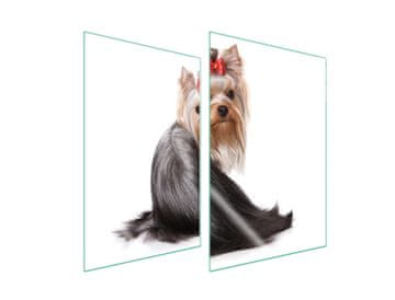 shumee STEKLENA ZAŠČITNA KROŽNIKA ZA KUHINJO 2x35x52 DOG