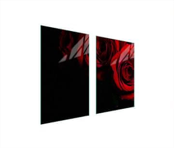 shumee ZAŠČITNA STEKLENA KROŽNIK ZA KUHINJO 65x52 ROSE