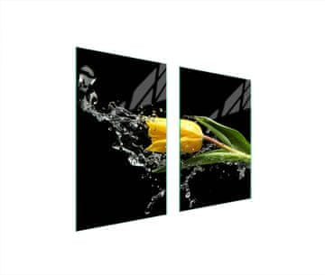 shumee ZAŠČITNA STEKLENA KROŽNIK ZA KUHINJO 65x52 TULIPAN