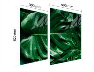 shumee ZAŠČITNA STEKLENA PLOŠČA ZA ŠTEDILNIK 70x52 MONSTERA
