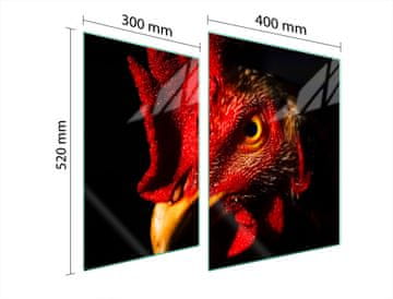 shumee STEKLENA ZAŠČITNA PLOŠČA ZA ŠTEDILNIK 70x52 ROOSTER