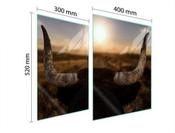 shumee STEKLENA ZAŠČITNA PLOŠČA ZA ŠTEDILNIK 70x52 SUN