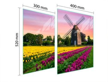 shumee STEKLENA ZAŠČITNA PLOŠČA ZA ŠTEDILNIK 70x52 MEADOW
