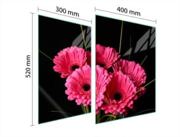 shumee ZAŠČITNA STEKLENA PLOŠČA ZA ŠTEDILNIK 70x52 GERBERA