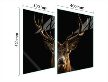 shumee STEKLENA ZAŠČITNA PLOŠČA ZA ŠTEDILNIK 70x52 DEER