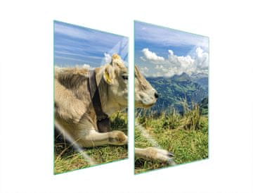 shumee STEKLENA ZAŠČITNA PLOŠČA ZA KUHINJO 2x35x52 COW