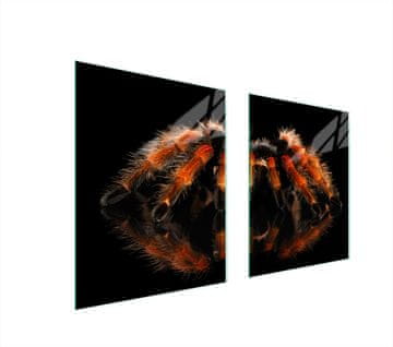 shumee ZAŠČITNA STEKLENA PLOŠČA ZA ŠTEDILNIK 85x52 SPIDER