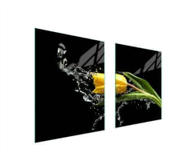 shumee STEKLENA ZAŠČITNA PLOŠČA ZA ŠTEDILNIK 85x52 TULIP