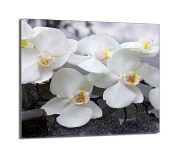 shumee Steklena zaščitna plošča za štedilnik 60x52 Orchidea