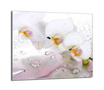 shumee Steklena zaščitna plošča za štedilnik 60x52 Orchidea