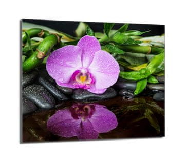 shumee Steklena zaščitna plošča za štedilnik 60x52 Orchidea