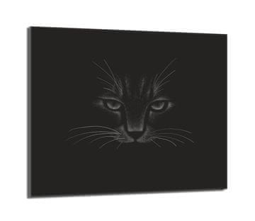 shumee Steklena zaščitna plošča za štedilnik 60x52 Cat