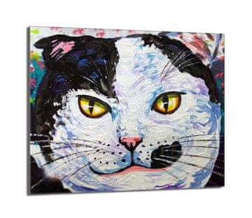 shumee Steklena zaščitna plošča za štedilnik 60x52 Cat