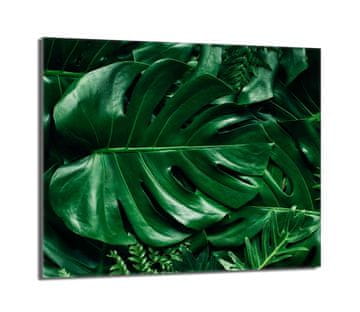 shumee Steklena zaščita za kuhalno ploščo 60x52 Monstera