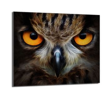 shumee Steklena zaščitna plošča za štedilnik 60x52 Owl
