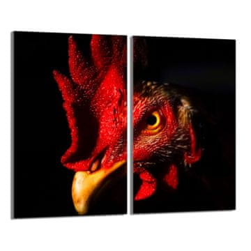 shumee Steklena zaščitna plošča za štedilnik 2x30x52 Rooster