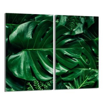 shumee Steklena zaščita za kuhalno ploščo 2x30x52 Monstera