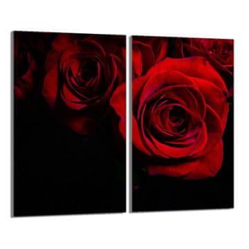 shumee Steklena zaščitna plošča za štedilnik 2x30x52 Rose