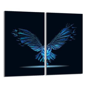 shumee Steklena zaščitna plošča za štedilnik 2x30x52 Bird