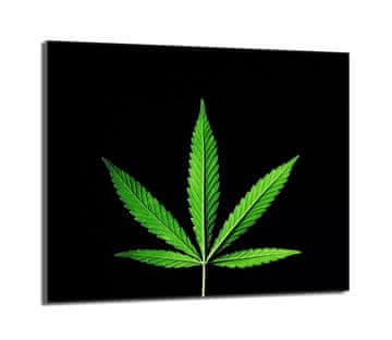 shumee Steklena zaščitna plošča za štedilnik 60x52 Leaf