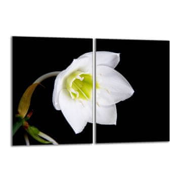 shumee Steklena zaščitna plošča za štedilnik 2x40x52 Orchidea