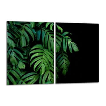 shumee Steklena zaščita za kuhalno ploščo 2x40x52 Monstera