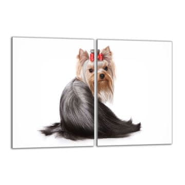 shumee Steklena zaščitna plošča za štedilnik 2x40x52 Dog