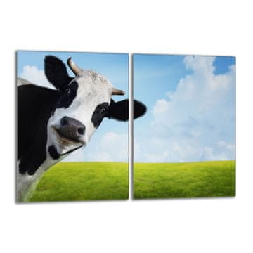 shumee Steklena zaščitna plošča za štedilnik 2x40x52 Cow