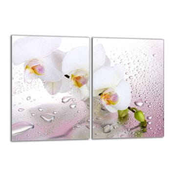 shumee Steklena zaščitna plošča za štedilnik 2x40x52 Orchidea