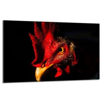 shumee Steklena zaščitna plošča za štedilnik 80x52 Rooster
