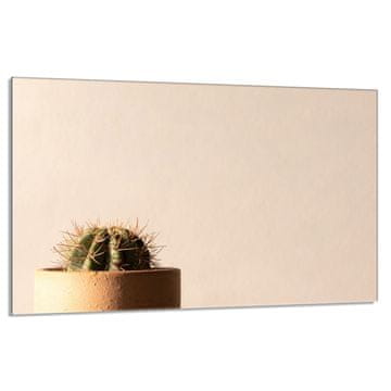 shumee Steklena zaščita za kuhalno ploščo 80x52 Cactus