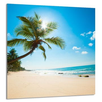 shumee STEKLENA PLOŠČA ZA KUHINJO 60x65 Beach