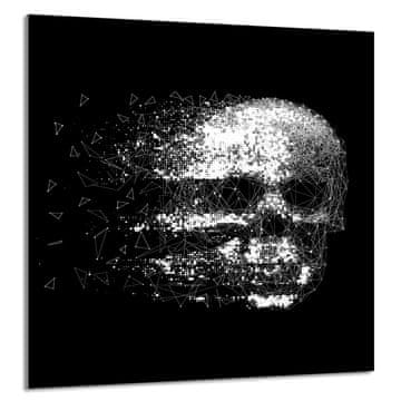 shumee STEKLENA PLOŠČA ZA KUHINJO 60x65 Skull