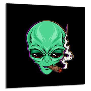shumee STEKLENA PLOŠČA ZA KUHINJO 60x65 UFO