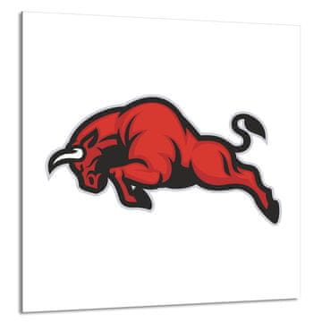 shumee STEKLENA PLOŠČA ZA KUHINJO 60x65 Bull