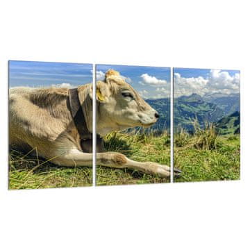 shumee Steklena zaščitna plošča za štedilnik 3x30x52