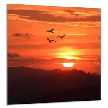 shumee STEKLENA PLOŠČA ZA KUHINJO 60x65 Sun