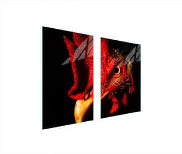 shumee STEKLENA ZAŠČITNA PLOŠČA ZA KUHINJO 65x52 ROOSTER