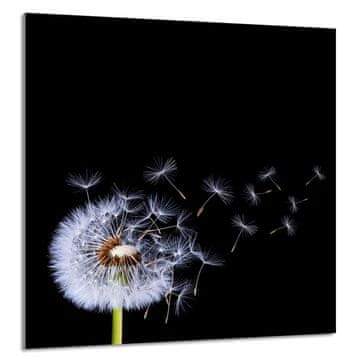 shumee STEKLENA PLOŠČA ZA KUHINJO 60x65 Cvet