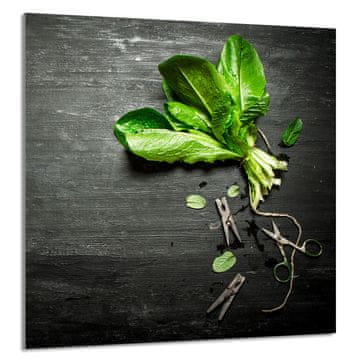 shumee STEKLENA PLOŠČA ZA KUHINJO 60x65 Bazilika