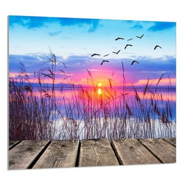shumee STEKLENA PLOŠČA ZA KUHINJO 65x60
