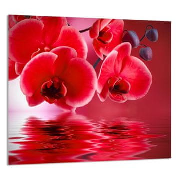 shumee STEKLENA PLOŠČA ZA KUHINJO 65x60 Orhideja