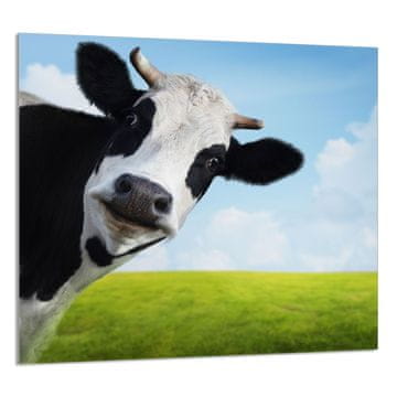 shumee STEKLENA PLOŠČA ZA KUHINJO 65x60 Cow
