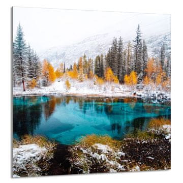 shumee STEKLENA PLOŠČA ZA KUHINJO 60x65