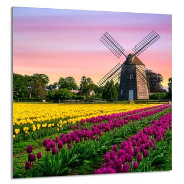 shumee STEKLENA PLOŠČA ZA KUHINJO 60x65 Travnik