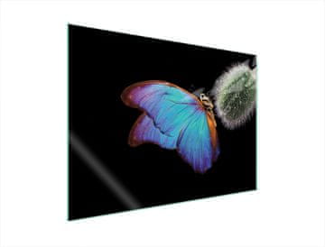 shumee STEKLENA ZAŠČITNA PLOŠČA ZA ŠTEDILNIK 70x52 BUTTERFLY