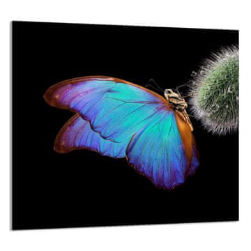 shumee STEKLENA PLOŠČA ZA KUHINJO 65x60 Metulj
