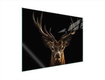 shumee STEKLENA ZAŠČITNA PLOŠČA ZA ŠTEDILNIK 70x52 DEER