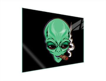 shumee STEKLENA ZAŠČITNA PLOŠČA ZA ŠTEDILNIK 70x52 UFO