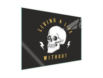 shumee STEKLENA ZAŠČITNA PLOŠČA ZA ŠTEDILNIK 70x52 SKULL